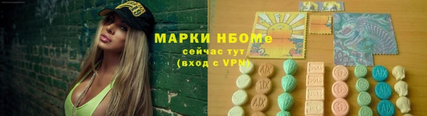 амф Новокубанск