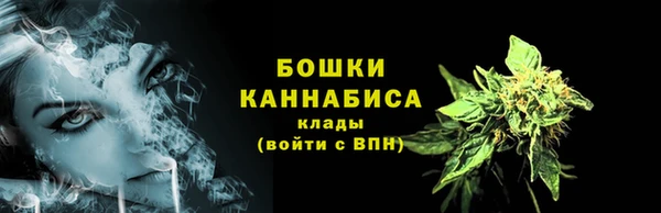 эйфоретик Новозыбков