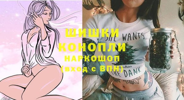мдма Новодвинск
